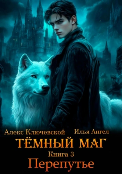 Аудиокнига Перепутье