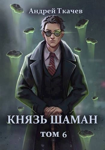 Аудиокнига Князь шаман. Книга 6