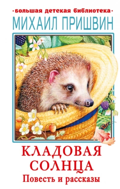 Аудиокнига Кладовая Солнца
