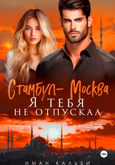Аудиокнига Стамбул-Москва. Я тебя не отпускал