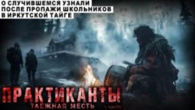 Аудиокнига Практиканты
