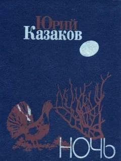 Аудиокнига Ночь