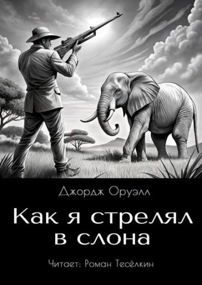 Аудиокнига Как я стрелял в слона