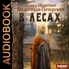 Аудиокнига В лесах
