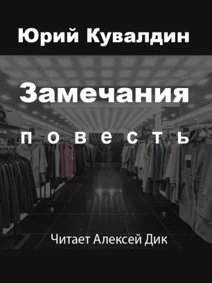 Аудиокнига Замечания