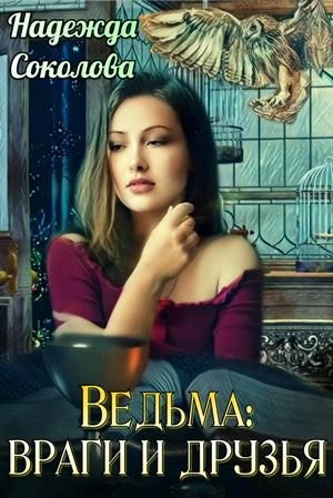 Аудиокнига Ведьма: враги и друзья