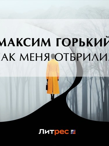 Аудиокнига Как меня отбрили…
