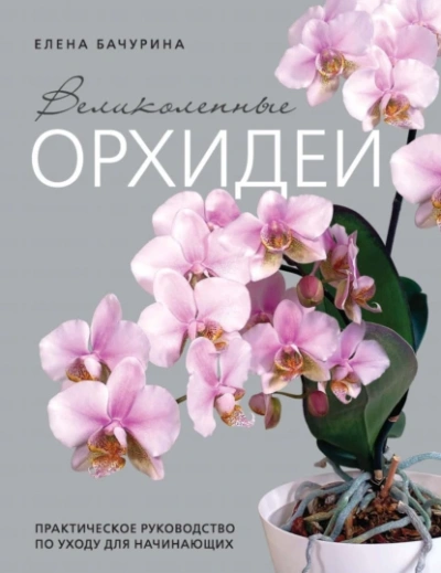 Аудиокнига Великолепные орхидеи. Практичное руководство по уходу для начинающих