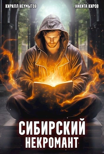 Аудиокнига Сибирский некромант Том 3