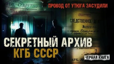 Аудиокнига Провод от утюга засудили