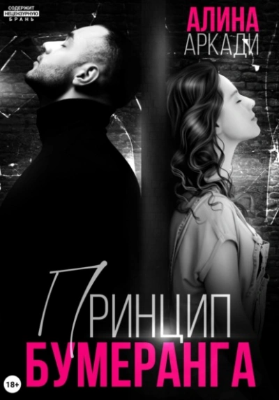 Аудиокнига Принцип бумеранга