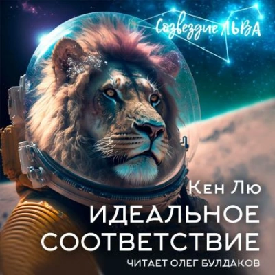 Аудиокнига Идеальное соответствие
