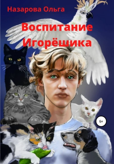 Аудиокнига Воспитание Игорёшика