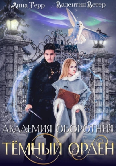 Аудиокнига Тёмный орден