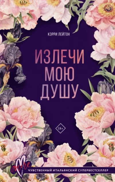 Аудиокнига Излечи мою душу