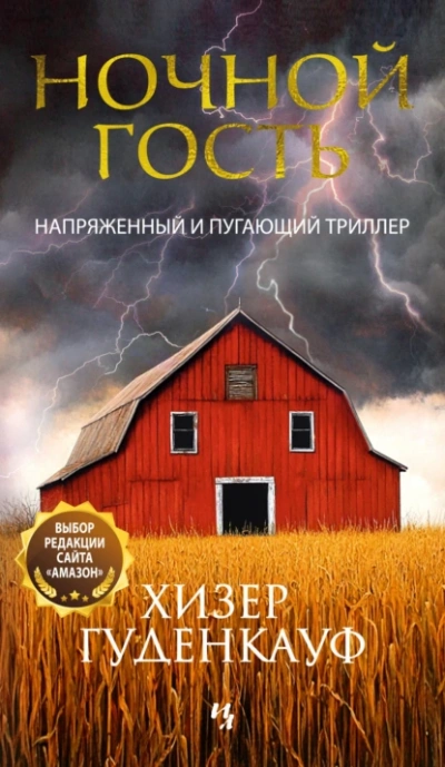 Аудиокнига Ночной гость