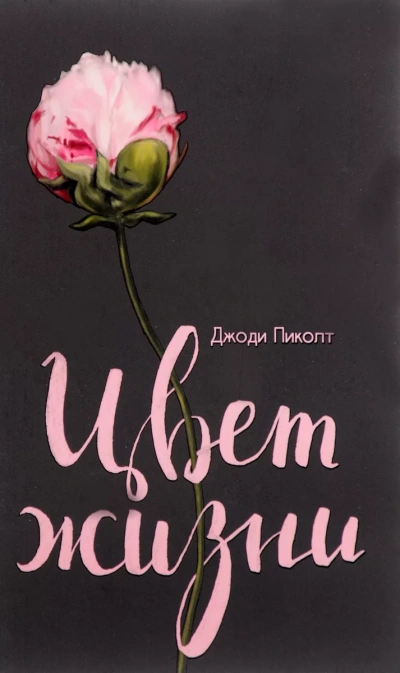 Аудиокнига Цвет Жизни