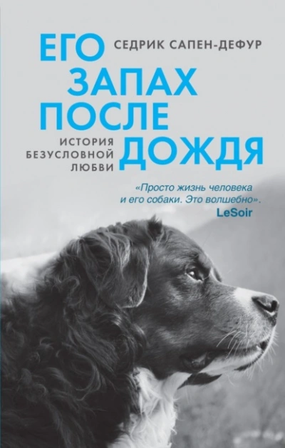Аудиокнига Его запах после дождя