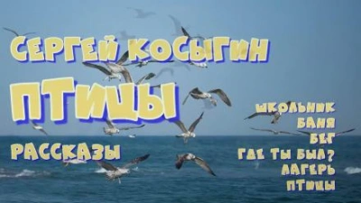 Аудиокнига Сборник рассказов