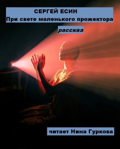 Аудиокнига При свете маленького прожектора