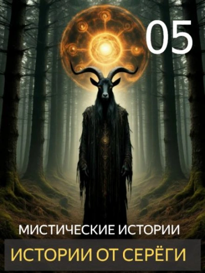 Аудиокнига Истории от Серёги 5