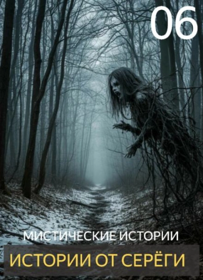 Аудиокнига Истории от Серёги 6