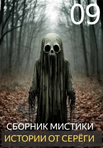 Аудиокнига Истории от Серёги 9