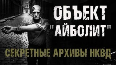 Аудиокнига Объект 