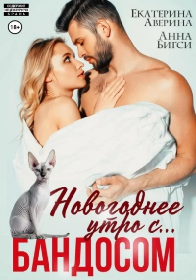 Аудиокнига Новогоднее утро с… Бандосом!